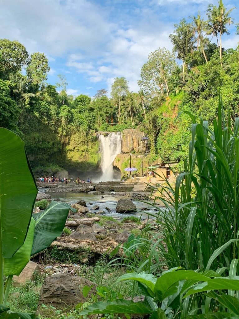 64389763-B59C-4D77-8AE2-68B0BF473B25