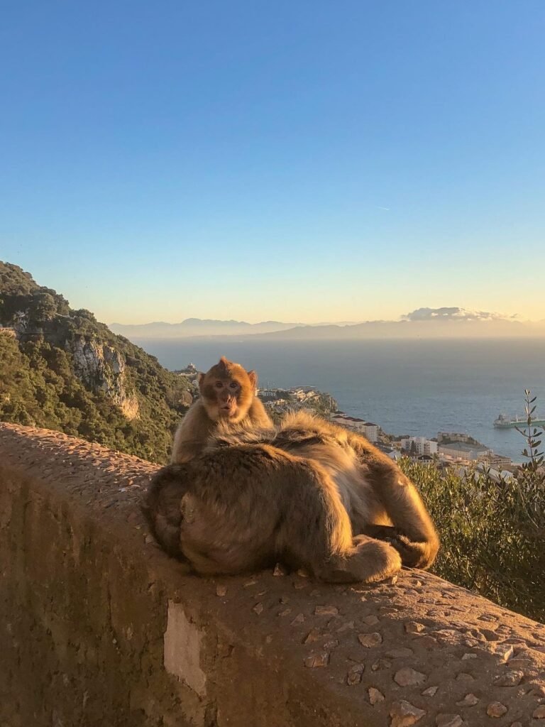 C6CAF957-F4E7-4D8E-B936-CF462A047D48