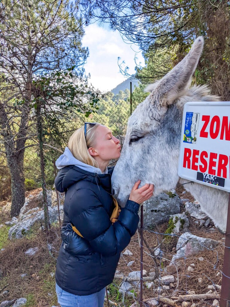 b595d28b-af5c-463b-80af-4a05696f33b3